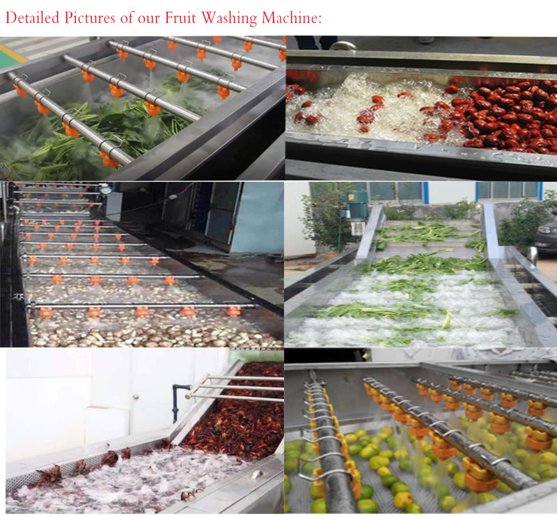 Vegetable Cleaning Machine Fruit Washer Root Vegetable Bubble Washing Machine